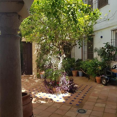 Casa Patio Los Suenos De Daury II Cordoba Ngoại thất bức ảnh